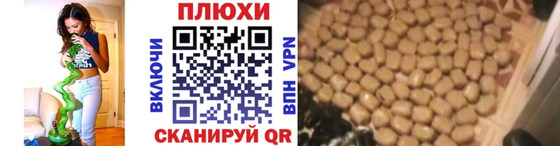 площадка как зайти  Любань  ГАШ VHQ 